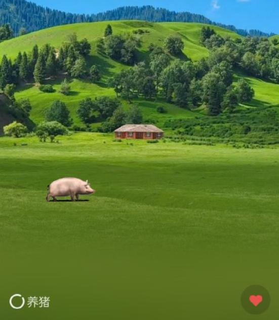 手机qq农场没有了_微信农场起源发展_微信农场话题讨论