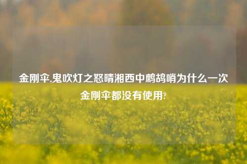 金刚伞,鬼吹灯之怒晴湘西中鹧鸪哨为什么一次金刚伞都没有使用?