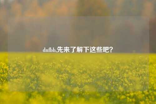 dnfbb,先来了解下这些吧?
