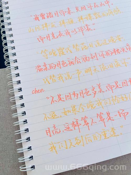 魔法使之夜结局解析：团圆背后的深意