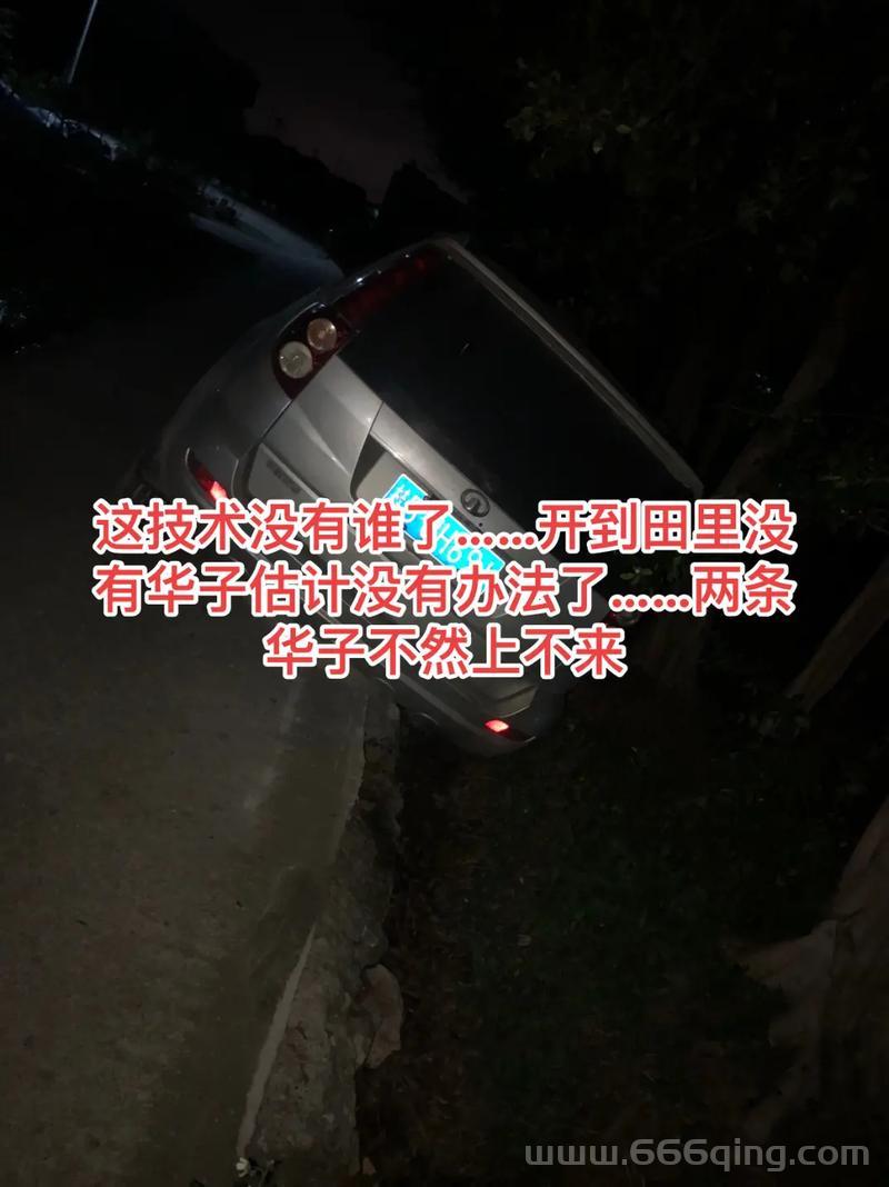 鼹鼠挖掘工：如何成为地下挖掘的高手