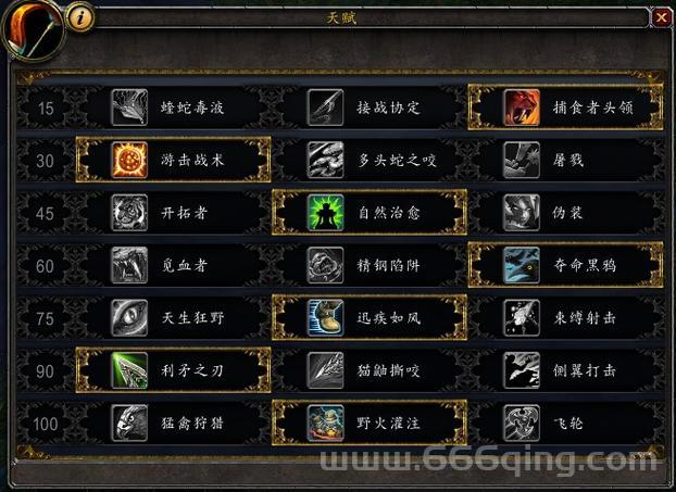 魔兽世界434版本：猎人输出循环与技能优化指南