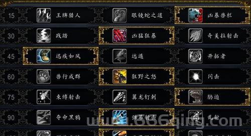 魔兽世界434版本：猎人输出循环与技能优化指南