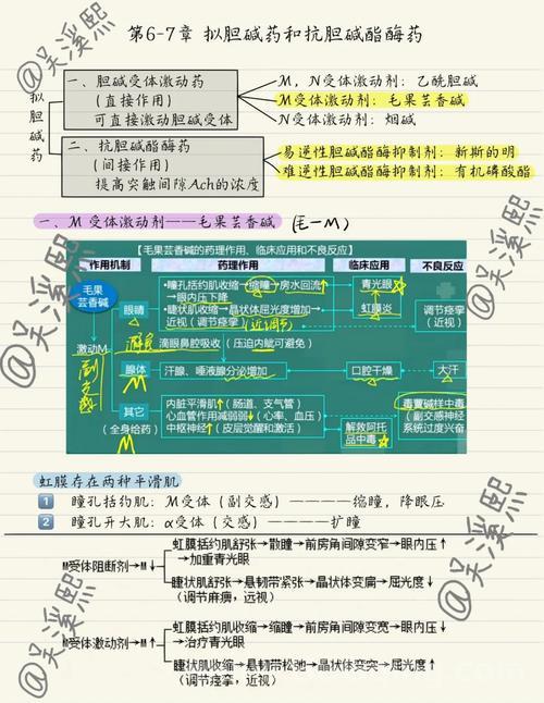 药王神篇全解：武林神医遗书中的神奇药理与用毒之道