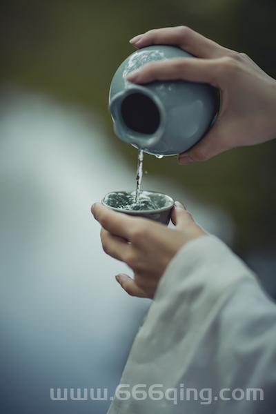 精美画面尽收眼底，一掌江山如画重现武侠江湖