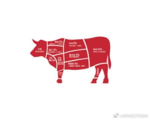 牛上脑是什么部位的肉？蚂蚁庄园答题解析