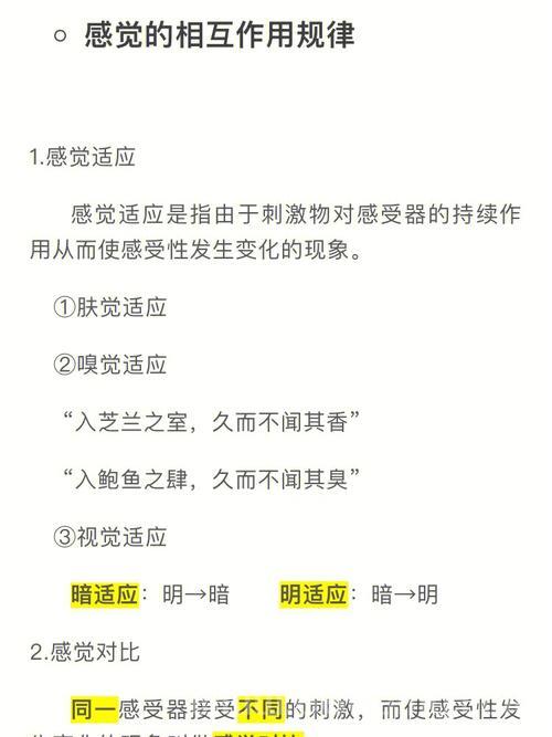 撕伞的含义解析：从网络流行语到教育现象