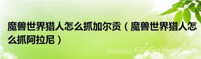 魔兽世界阿拉尼怎么获得？稀有坐骑阿拉尼获取全攻略