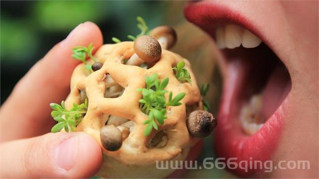 酷辣虫：最新科技趋势与创新资讯分享