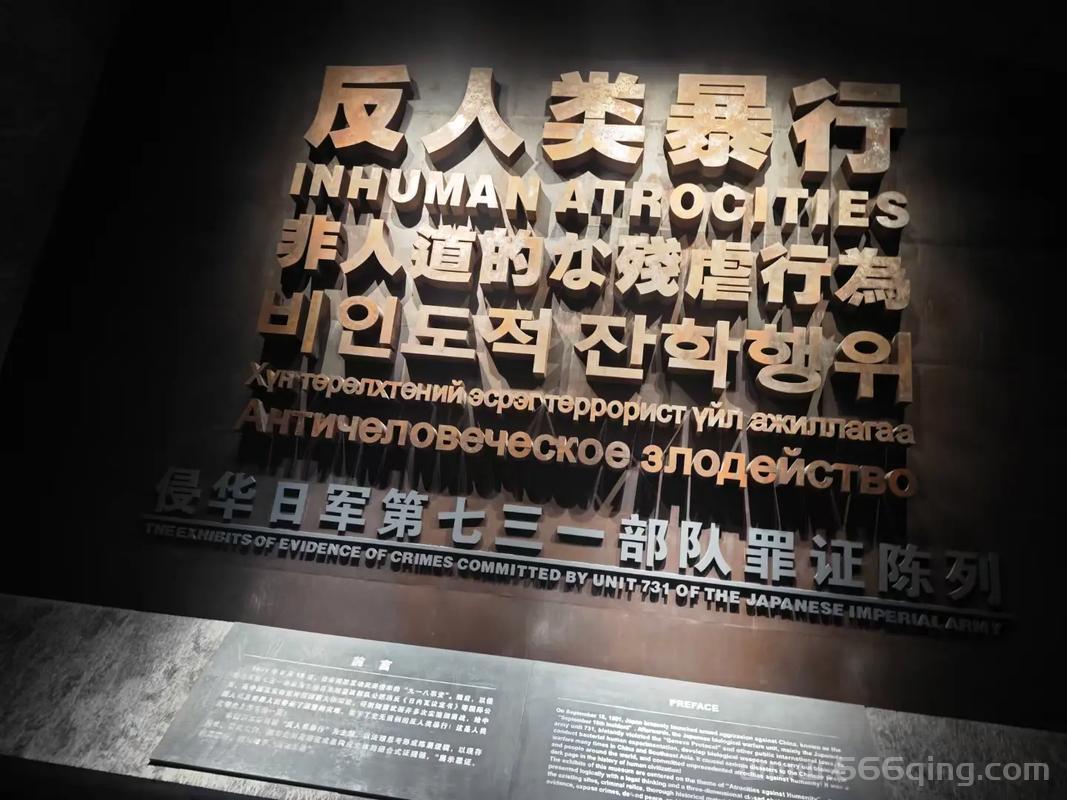 马路大是什么意思？揭开“731部队”背后的黑暗历史