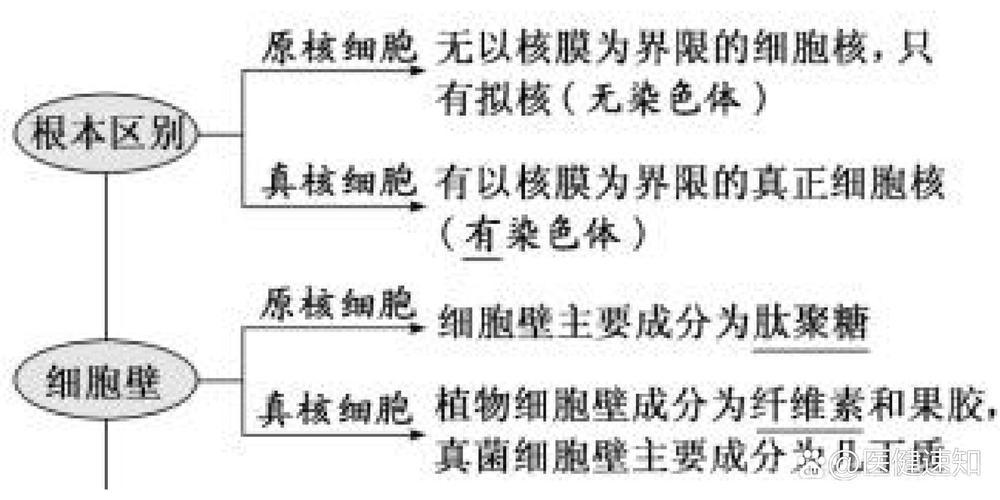 核物质详解：从基本结构到核反应的科学探索