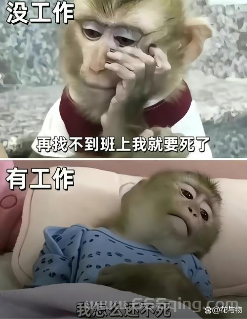 黑匣子已找到，搜寻工作为何未结束？揭秘事故调查中的挑战