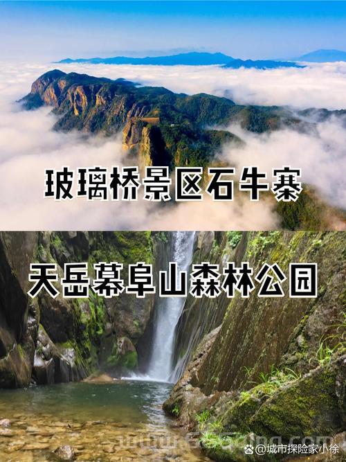 熊猫竞速：探索刺激的森林竞赛体验
