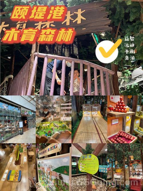 熊猫竞速：探索刺激的森林竞赛体验