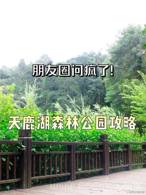 剥皮地窖探索指南：如何找到宝藏和隐藏任务地点