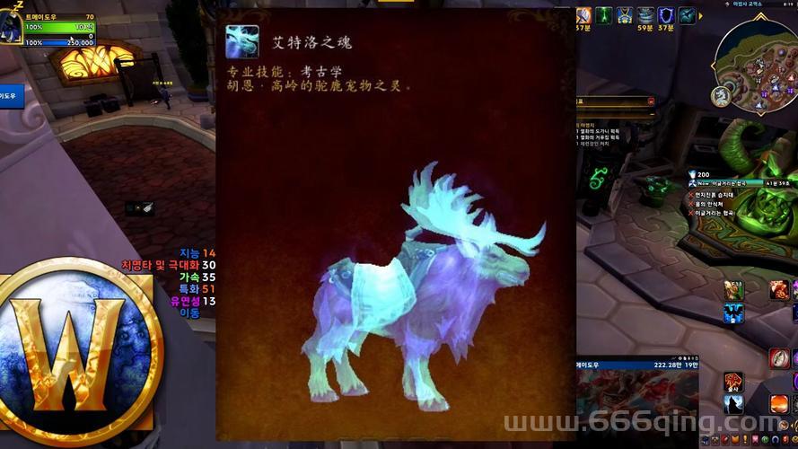 魔兽世界缰绳王成就攻略分享，坐骑控必看！