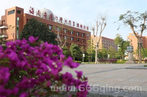 黎明裂缝怎么进？新手必看的详细攻略来啦！