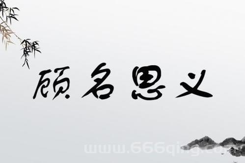 顾名思义中的“顾”字意思是什么？成语详解