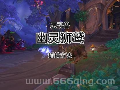 魔兽世界正式服灵魂兽难抓吗？试试这个方法！