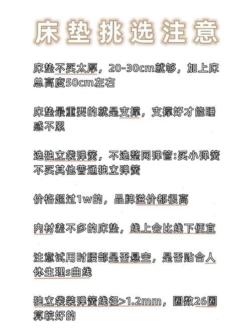 雷伊抓捕指南：最佳时机与技巧推荐