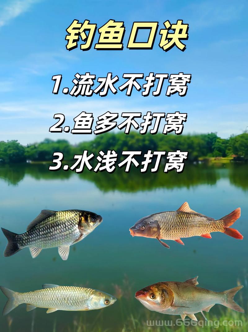 零之轨迹钓鱼小技巧，教你如何快速提升钓鱼等级