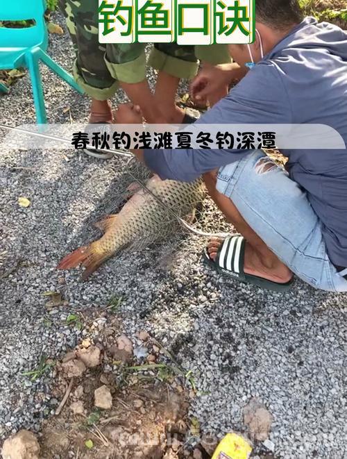 零之轨迹钓鱼小技巧，教你如何快速提升钓鱼等级