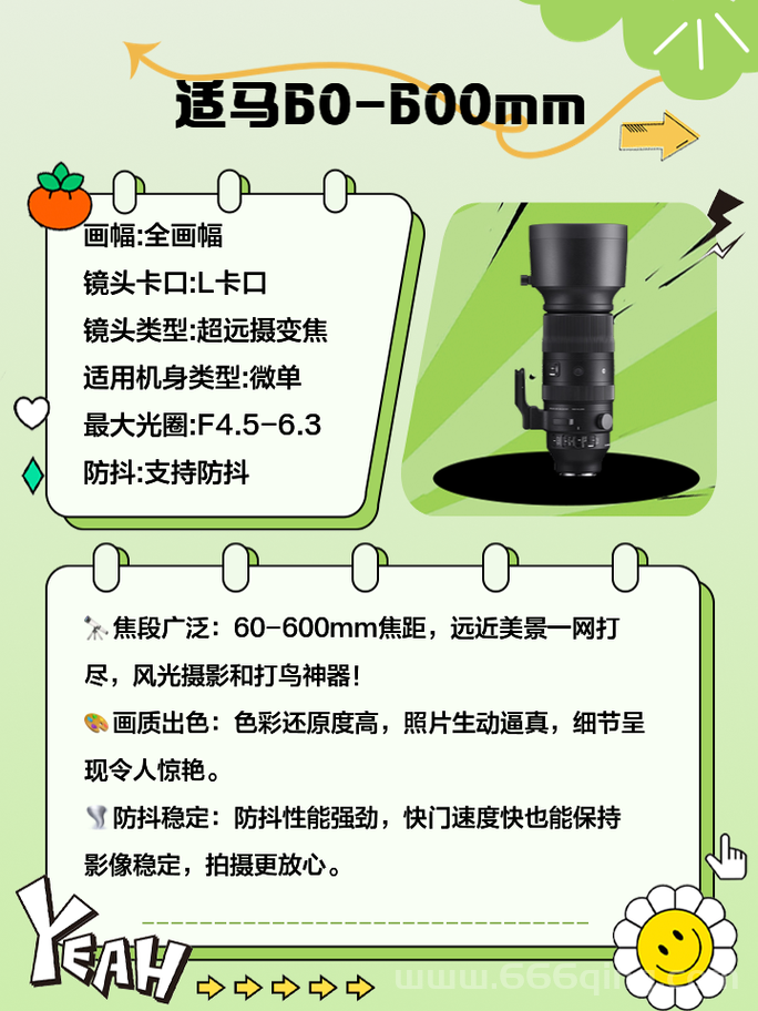 长焦镜头的优势与应用：你真的了解吗？