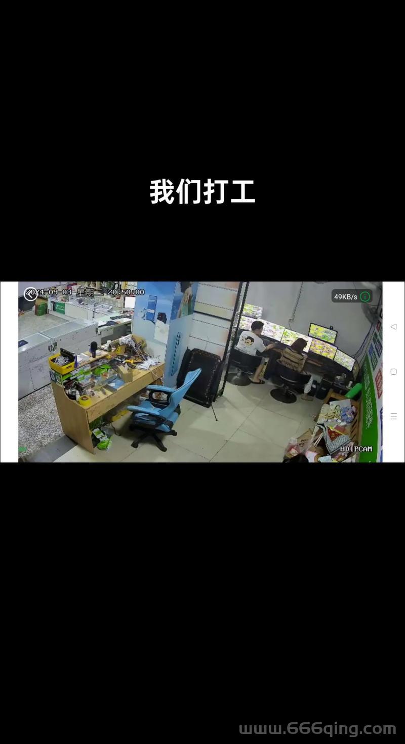 问道黄金罗盘任务详解：每日任务时间与完成技巧