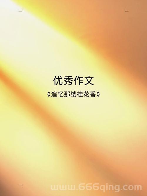 遗失的尊敬：现代社会中尊重为何渐行渐远？