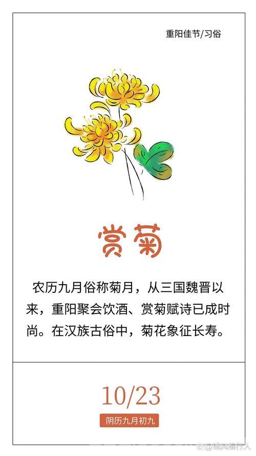 重阳节的起源与传统风俗详解