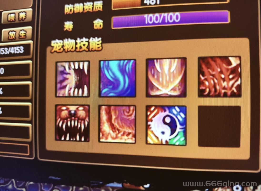 造梦西游3宠物获得方法大揭秘，平民也能玩转宠物系统！