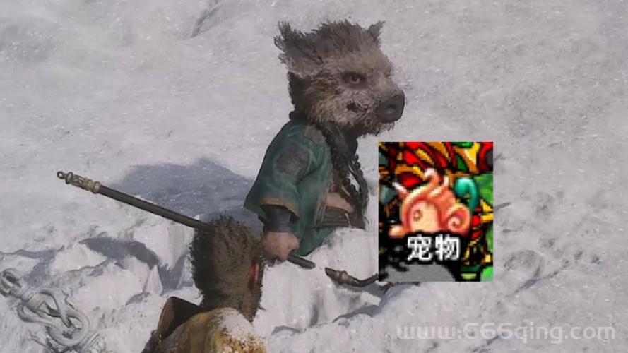 造梦西游3宠物获得方法大揭秘，平民也能玩转宠物系统！