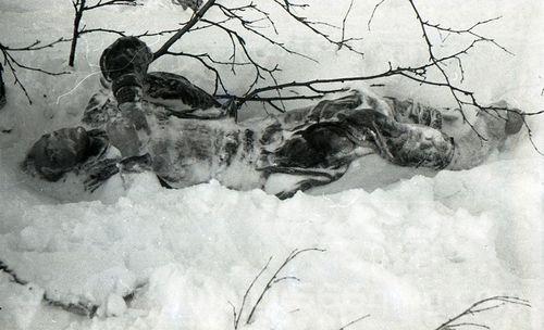 达洛夫事件豆瓣影评：探索乌拉尔山登山队离奇死亡