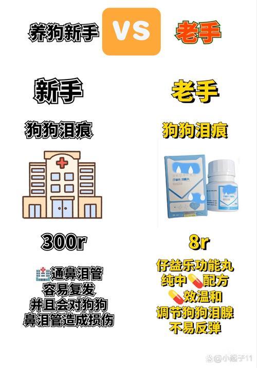 造梦西游3号源怎么用？新手老手都适用的号源使用攻略