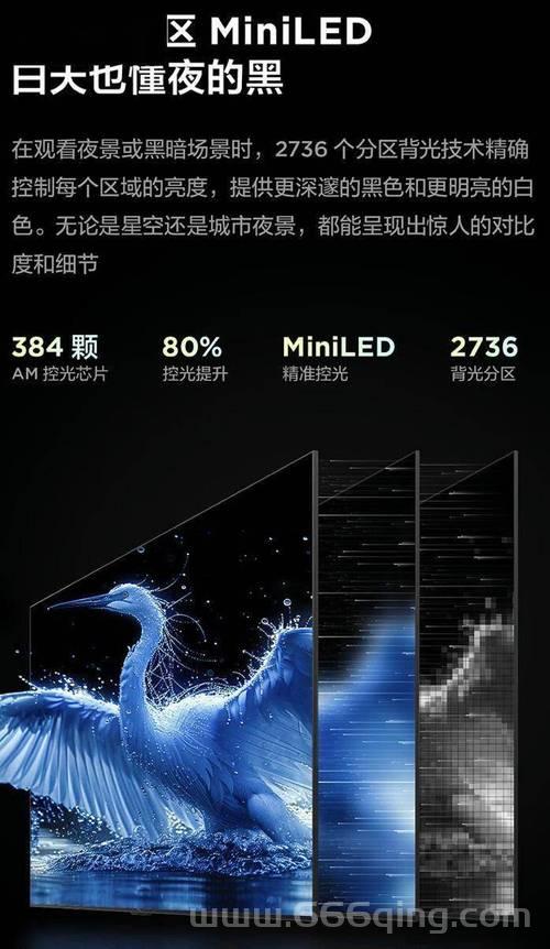 迅雷雷鸟手机介绍：独特设计与强大功能的完美结合