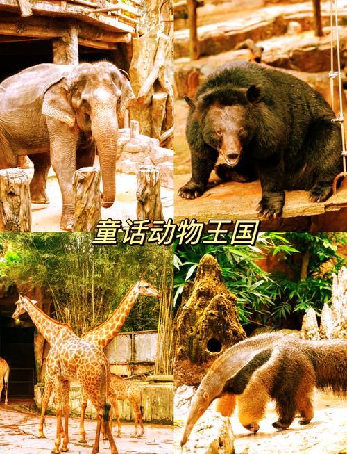 还在为潮汐王子成就发愁？这篇攻略帮你搞定！