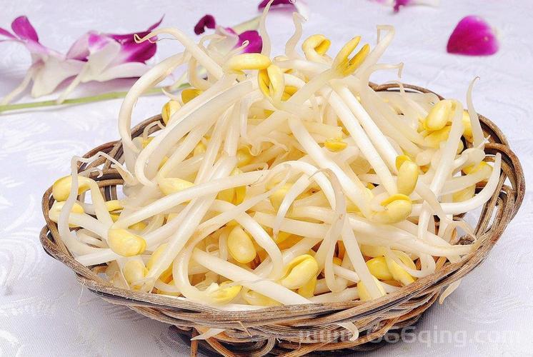 豆芽菜游戏盒下载太慢？试试这个高速下载方法！