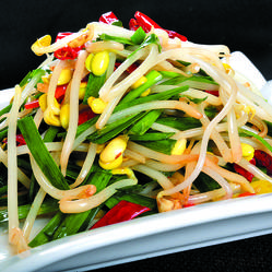 豆芽菜游戏盒下载太慢？试试这个高速下载方法！
