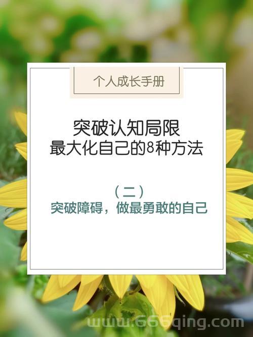 王者之锋：勇敢突破，书写属于你的王者传奇