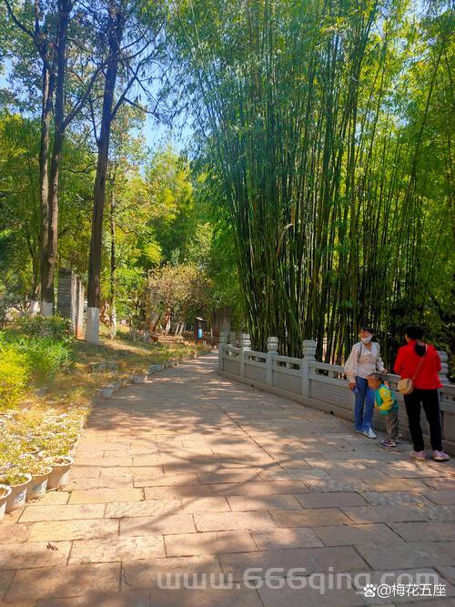 红警3作弊码怎么输入？新手老鸟都看过来！