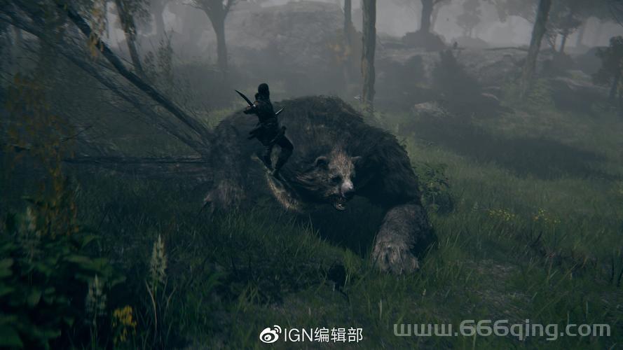 艾尔登法环：探索交界地，挑战开放世界的极限冒险