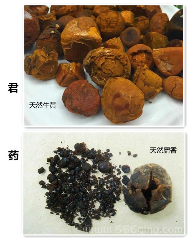探索牛黄：它究竟是牛的哪个部位的结石？