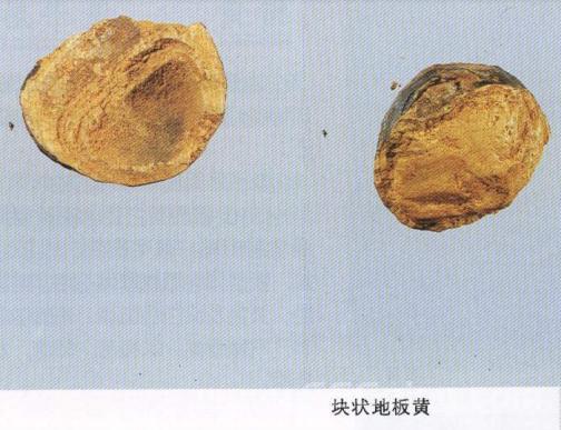 探索牛黄：它究竟是牛的哪个部位的结石？