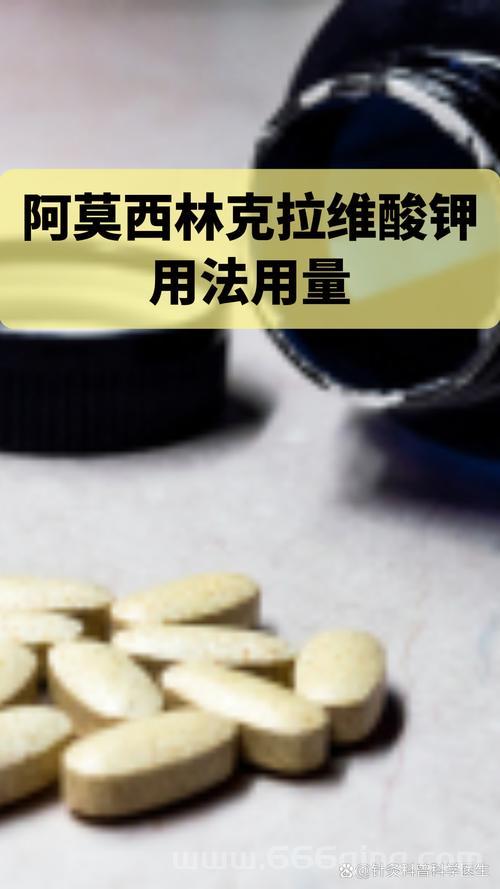英文单词gorgeous是什么意思？带你快速掌握它的用法