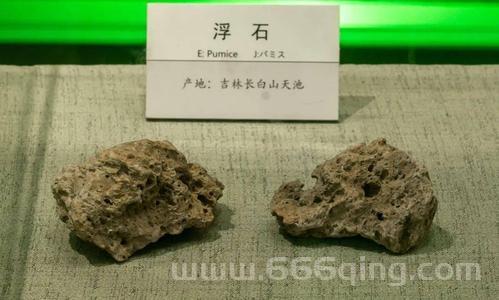 浮石是什么？探索浮石的特性与应用领域