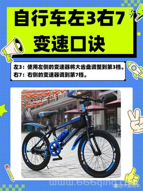 我行我速怎么样？老司机带你全面了解这款应用！