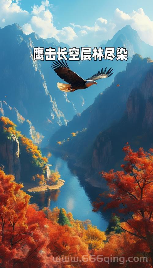 鹰击长空操作进阶指南，助你快速成为空战王牌！