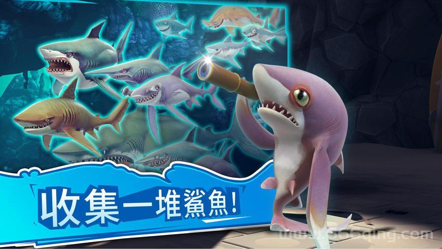 鲨鱼加速器下载哪个快？亲测这几个版本最流畅！