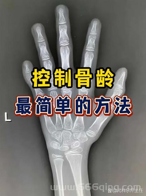 鲁尔夫断骨位置难找？掌握这些技巧，轻松get！