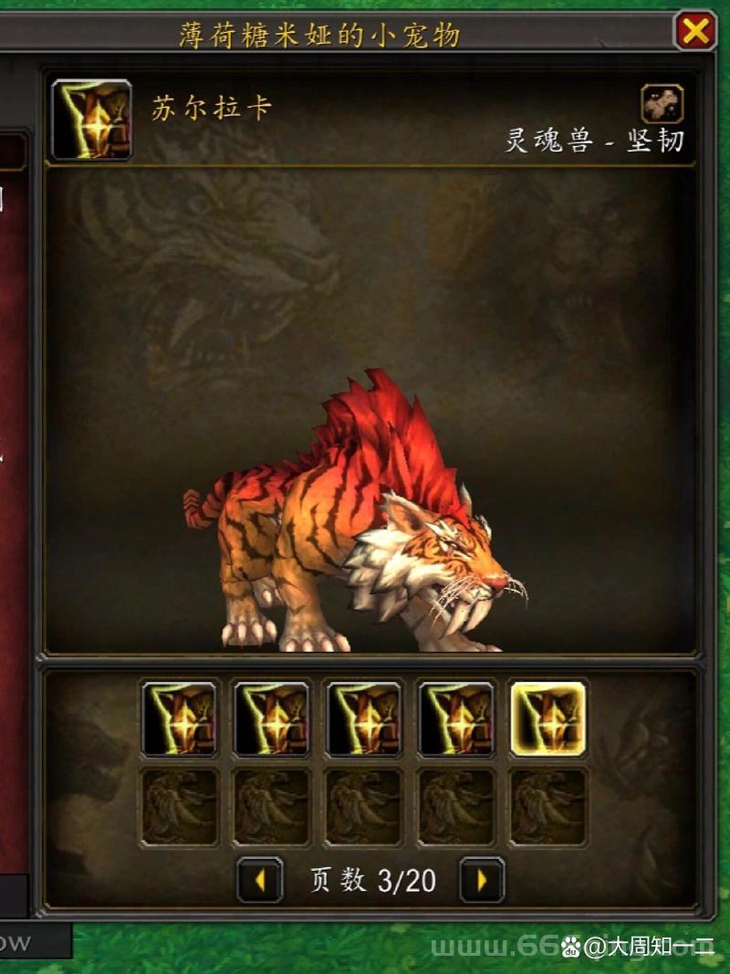 魔兽世界灵魂兽插件怎么设置？轻松上手很简单！